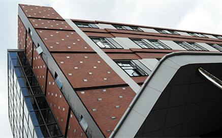 celou.jpg